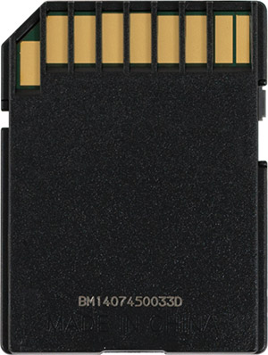 SanDisk Extreme Plus 80MB/s SD Card Back