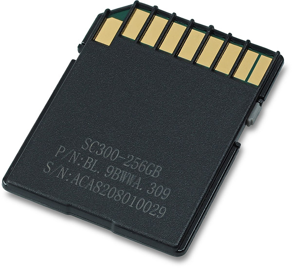 Acer SC300 UHS-I U3 V30 256GB SDXC Card back
