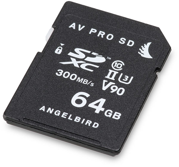 Angelbird Carte AV PRO microSD V30 256 Go - Micro SD/SDHC/SDXC - Achat et  prix