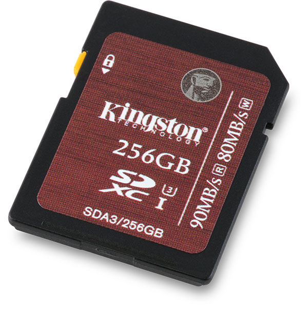 Kingston UHS-I Speed Class 3 U3 90/80 MB/s 256GB SDXC Memory Card Front