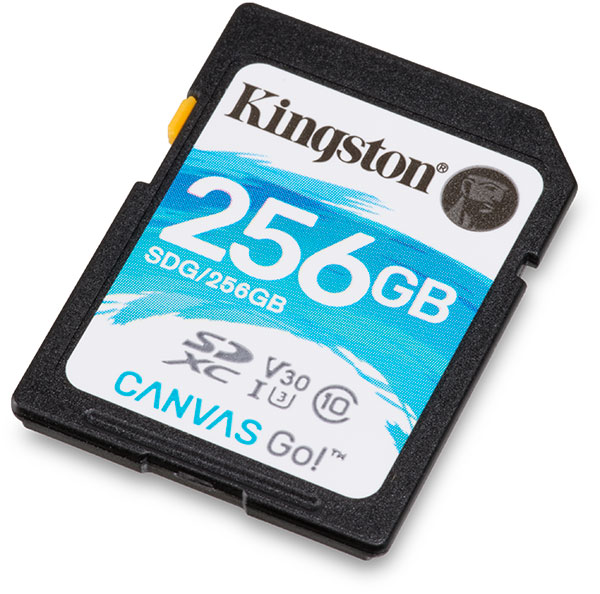 Kingston Canvas Go! V30 256GB SDXC Memory Card SDG/256GB Review 90MB/s read  45MB/s write - Camera Memory Speed Comparison & Performance tests for SD  and CF cards